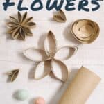 How to make DIY paper flowers out of toilet paper rolls.