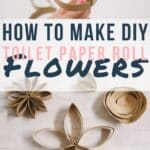 How to make DIY paper flowers out of toilet paper rolls.