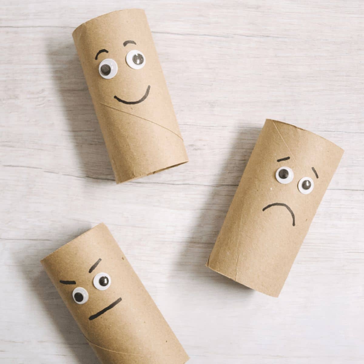 How to make DIY Toilet Paper Roll Emotion Buddies.