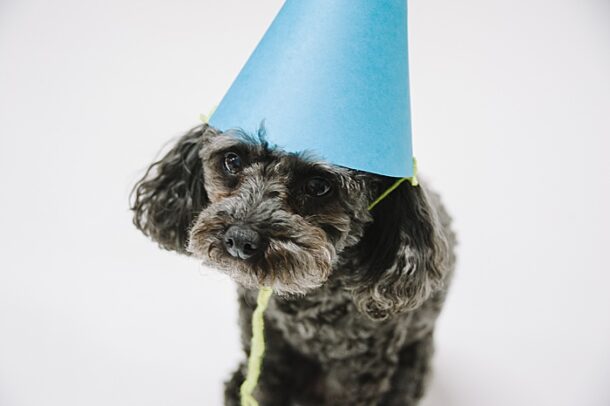 how-to-make-a-cone-out-of-paper-diy-paper-party-hat-tutorial