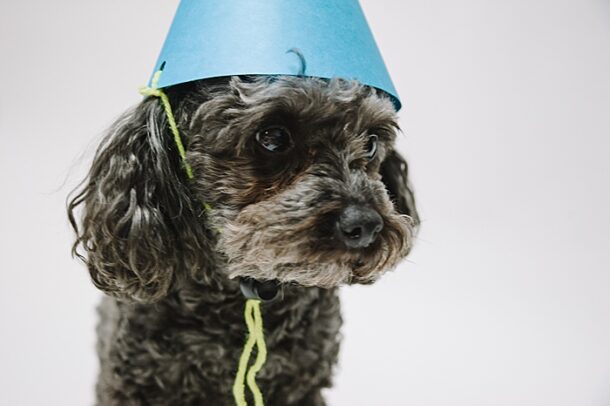 how-to-make-a-cone-out-of-paper-diy-paper-party-hat-tutorial